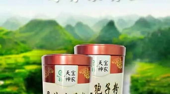 叶素牌灵芝饮 天然滋养，开启现代养生保健新体验