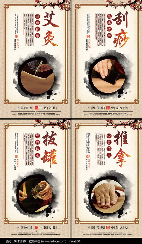 中医养生智慧 艾灸保健展板设计鉴赏与养生服务指南