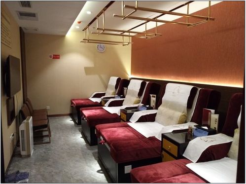 专业中医养生保健的领导者 融合传统智慧与现代服务的健康守护